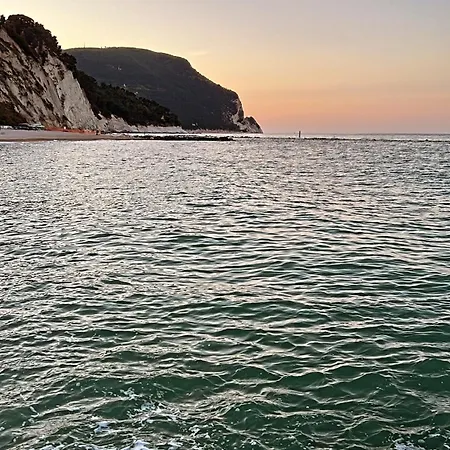 Leoncito Del Conero Gæstehus Marcelli