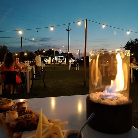 Leoncito Del Conero Marcelli